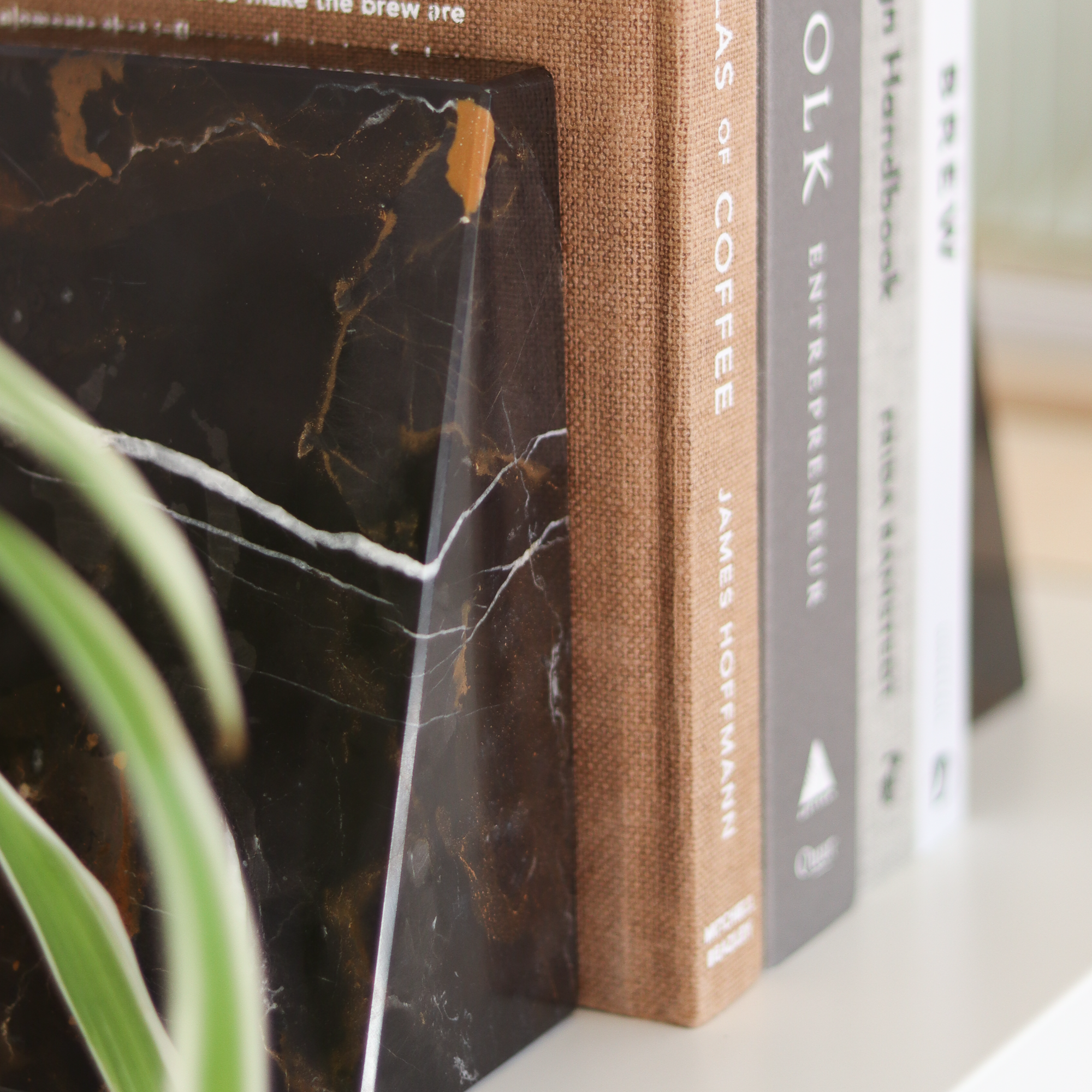 Lithea Marble Bookends (Set of Two) British Fossils